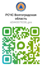 МАКС РСЧС Волгоградской области